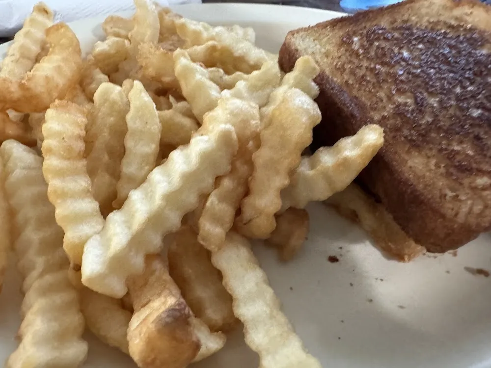 Grilled Cheese with Fries